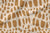 Animal Print 005 - Telas de algodon estampado - Algodón Textiles