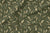 Ardilla 004 - Telas de algodon estampado - Algodón Textiles