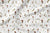 Ardilla 005 - Telas de algodon estampado - Algodón Textiles