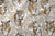 Boho Safari 005 - Telas de algodon estampado - Algodón Textiles